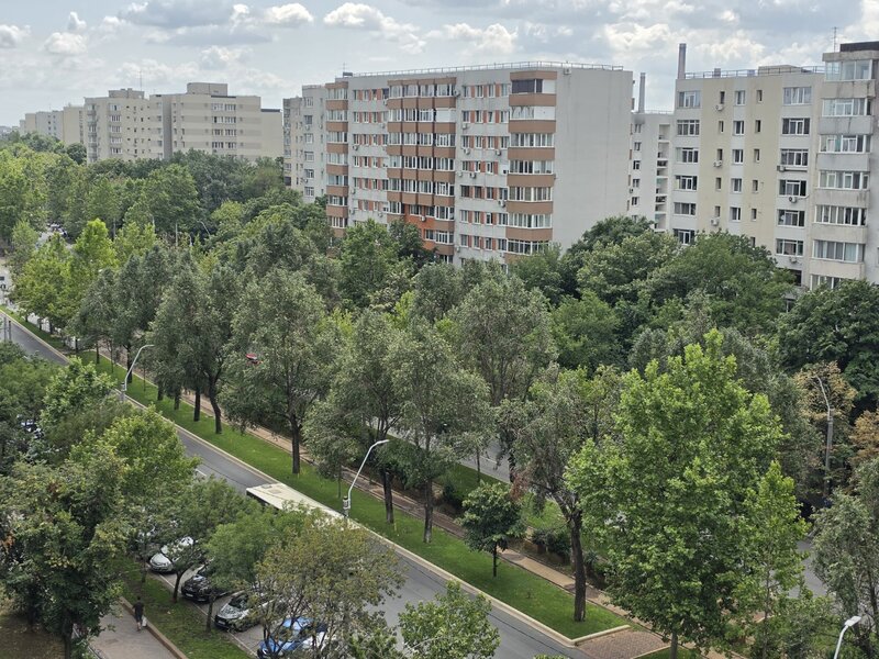 Dristor, chiar la gura de metrou, stradal pe Camil Ressu, 5 minute parc IOR